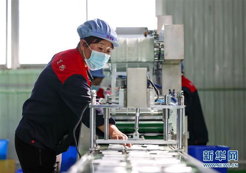 山海同心筑通途 闽宁协作产业园区建设中的技术赋能之路